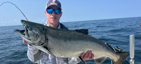David big fish