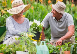 older couple gardening outside